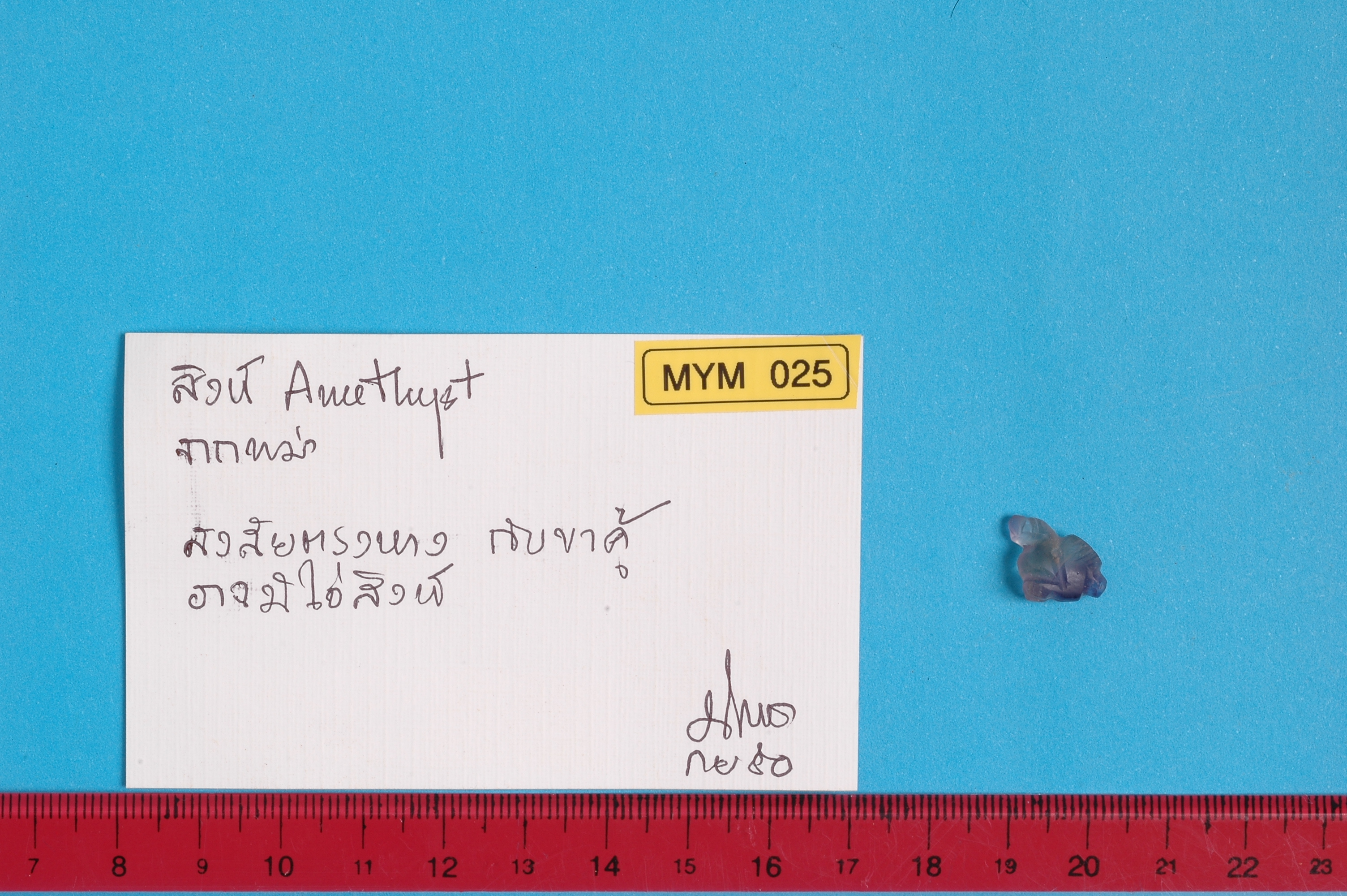 MYM 025.jpg